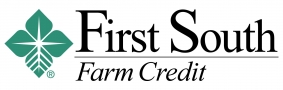 logo First South copy