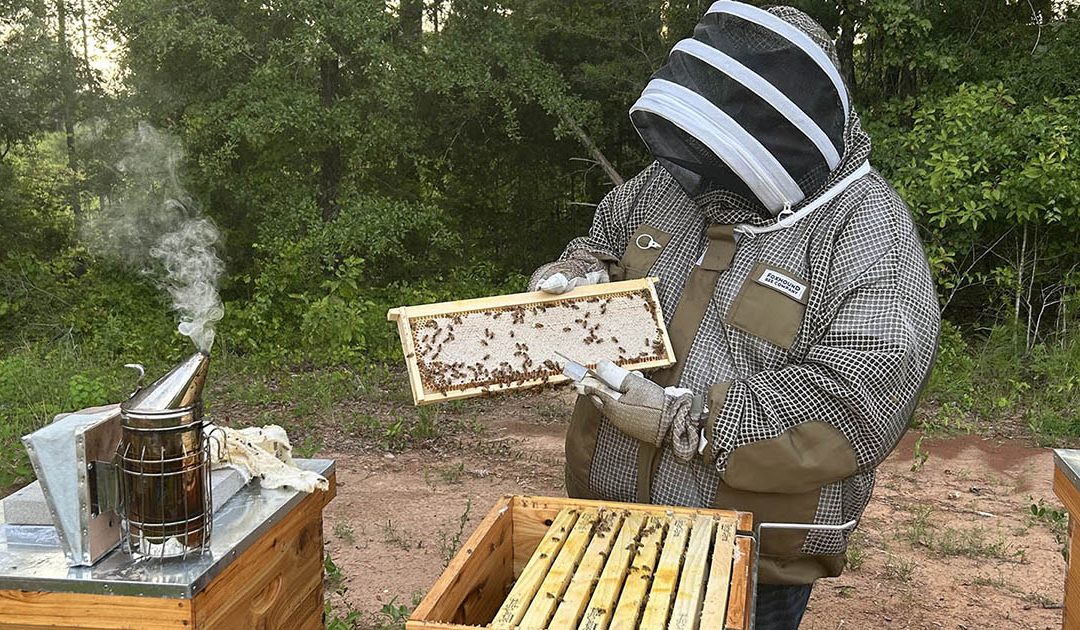 Guest Post: Getting Started in Beekeeping