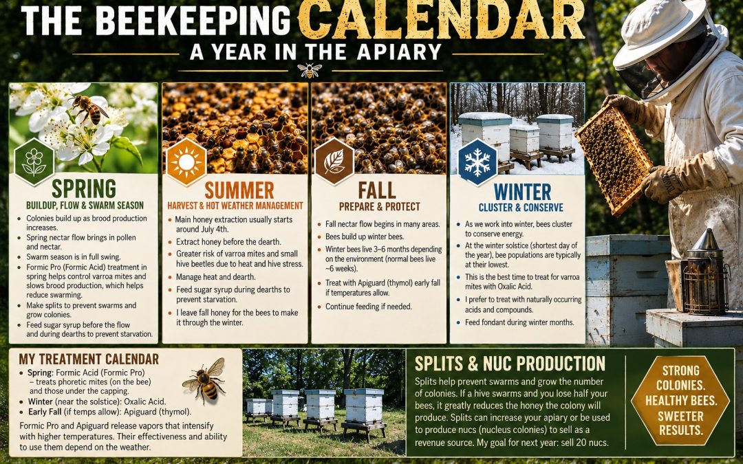 Guest Post: The Beekeeping Calendar, A Year in the Apiary